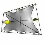disphenoid p=55 
