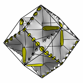 starfish 2-4 rhomb