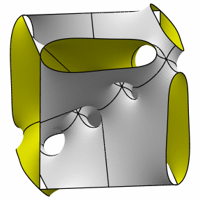starfish 2-3 cubelet